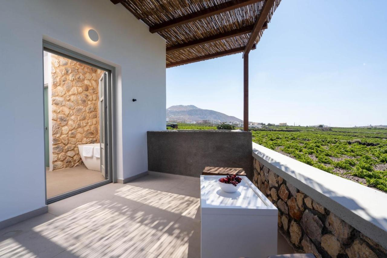 New Villa Katerina Collection Megalochori  Exterior photo
